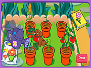 doras magical garden online game