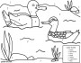 ducks coloring by numbers