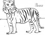 tiger coloring by number