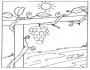 grapes fruit picture coloring pages 3