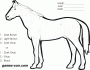 horse standing coloring by number
