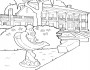 house picture coloring pages 9