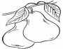 pears fruit picture coloring pages