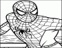 spiderman picture coloring 11