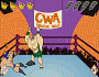 gwa wrestling riot game online