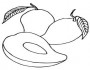 mango fruit picture coloring pages